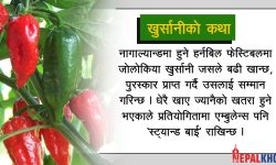 अकबरेको राजा ‘भूत जोलोकिया’