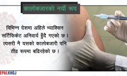 भ्याक्सिन सर्टिफिकेटको नक्कली कारोबार