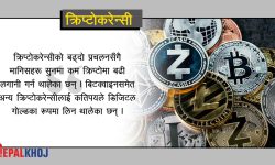 क्रिप्टोकरेन्सीमा युवापुस्ताको आकर्षण !