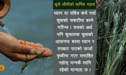 ‘धार्मिक आस्था बोकेको धारिलो घाँस कुश’