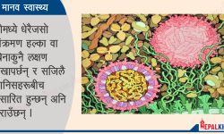 लक्षण कोरोनाजस्तो, बन्यो चुनौती