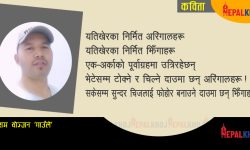 अरिंगाल र झिँगा