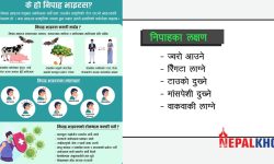 पशुबाट सर्छ निपाह भाइरस, के हुन् यसका लक्षण ?