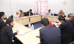 प्रत्यायोजित विधायनसम्बन्धी मस्यौदा विधेयक परिमार्जन गर्न निर्देशन