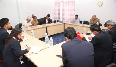 प्रत्यायोजित विधायनसम्बन्धी मस्यौदा विधेयक परिमार्जन गर्न निर्देशन