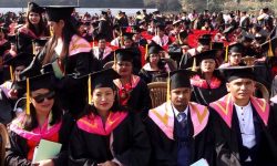 त्रिविद्वारा दीक्षान्त समारोहका लागि अनलाइन फाराम संकलन सुरु