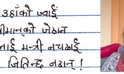 ज्वाइँ-जेठान !