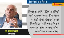 ‘विकास गर्न पढाइ होइन, भिजन चाहिन्छ’