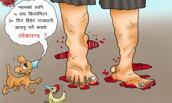 घोचपेच !