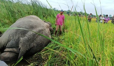 करेन्ट लागेर मकुनाकाे मृत्यु !
