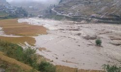 पाकेको मार्सीधान वर्षाले नष्ट