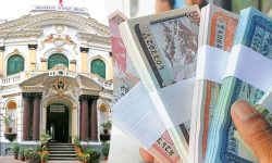 दसैँका लागि मात्र बाहिरियो आधा खर्बको नयाँ नोट