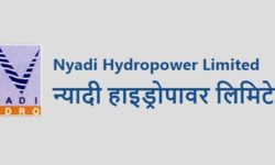 न्यादीको आईपीओ बाँडफाँड भोलि !