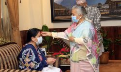 राष्ट्रपतिबाट विजयादशमीको टीका ग्रहण (फोटो फिचर)