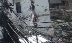 विद्युत् प्राधिकरणले तत्कालका लागि इन्टरनेटको तार नकाट्ने