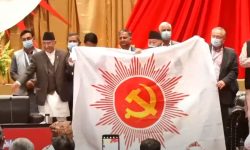 एमालेको नयाँ लोगो र एप सार्वजनिक, नयाँ सदस्यता एपमार्फत लिन सकिने