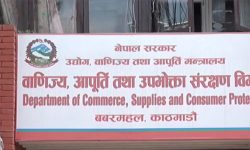 न्यूरोडका ५ पसल कारबाहीमा