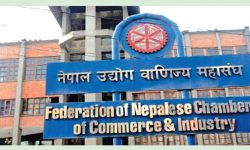 एफएनसीसीआईले भन्यो- पुँजीबजारप्रति जनताको विश्वास बढ्यो