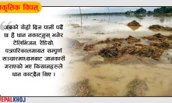 विपत्‌बाट १० वर्षमा ४० अर्ब नोक्सान