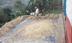 बैंकबाट ऋण लिएर खेती गरेका किसान मर्कामा