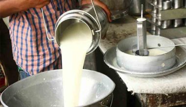 उत्पादनका आधारमा दुग्ध किसानलाई अनुदान