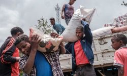 राष्ट्रसंघका ७ उच्च अधिकारी देश निकाला