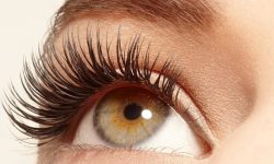 आँखालाई माया गरौँ भन्ने मुल नारासहित विश्व दृष्टि दिवस मनाइने