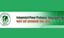 बीमा समितिको निर्देशनप्रति इपानको आपत्ति