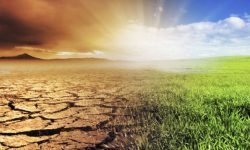 साउदी अरेबियाले सन् २०६० सम्ममा शून्य कार्बन उत्सर्जन गर्ने