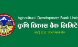 कृषि विकास बैंकको सीईओका लागि २२ जनाको आवेदन