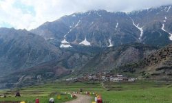 कालापानी, लिपुलेक र लिम्पियाधुरामा गणक पठाउन माग