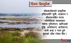 नदीमा बढ्दै रासायनिक पदार्थ, जिम्मेवार को ?