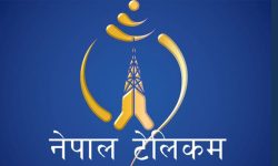 निर्वाचनमा टेलिकमको अफर