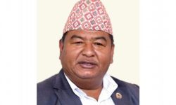 सरकारले सीप विकास तालिम केन्द्र सातै प्रदेशमा विस्तार गर्ने