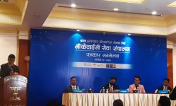 एनएमबीको भीकेवाईसी, पल शाह बने ब्रान्ड एम्बेसडर