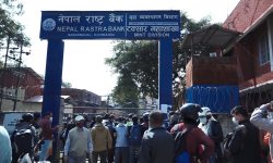 टक्सार विभागमा असर्फी किन्नेको भिड