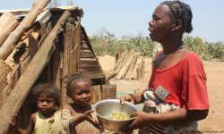 ४३ देशका साढे ४ करोड मानिस भाेकमरीकाे संघारमा : डब्ल्यूएफपी