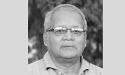 गणतान्त्रिक मेनु