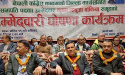 ‘महामन्त्री हुने कुरा गौण भए पनि नेतृत्व बदल्ने कुरा मुख्य’ (भिडियोसहित)