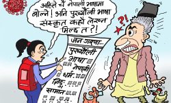 घोचपेच !