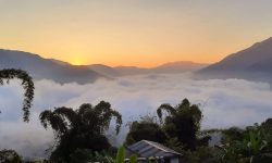 कुहिरो र सूर्योदय !