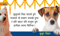 किन गरिन्छ कुकुरको पूजा ?