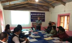 लघुबिमाको विकासमा मेटलाइफको प्रतिवद्धता, दाबी व्यवस्थापन प्रणालीको सुरुवात