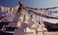 नमोबुद्ध मेलामा बौद्ध धर्मावलम्बीको घुइँचोे