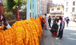 सडकका रेलिङमा सयपत्री माला र सप्तरंगी टीका (फोटो फिचर)