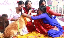 कुकुरका गलामा सयपत्री माला (तस्बिरसहित)