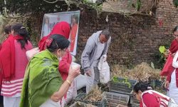 लेमनग्रास, पत्थरचट्टा र गुर्जोका २५ सय बिरुवा बाँडियो