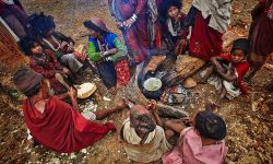 लोप हुने खतरामा राउटे समुदाय !