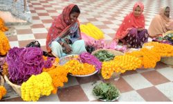 भारतीय फूलले गर्‍यो बजार कब्जा
