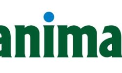 सानिमा बैंकको पहिलो त्रैमासिक नाफा ५६ करोड ७८ लाख